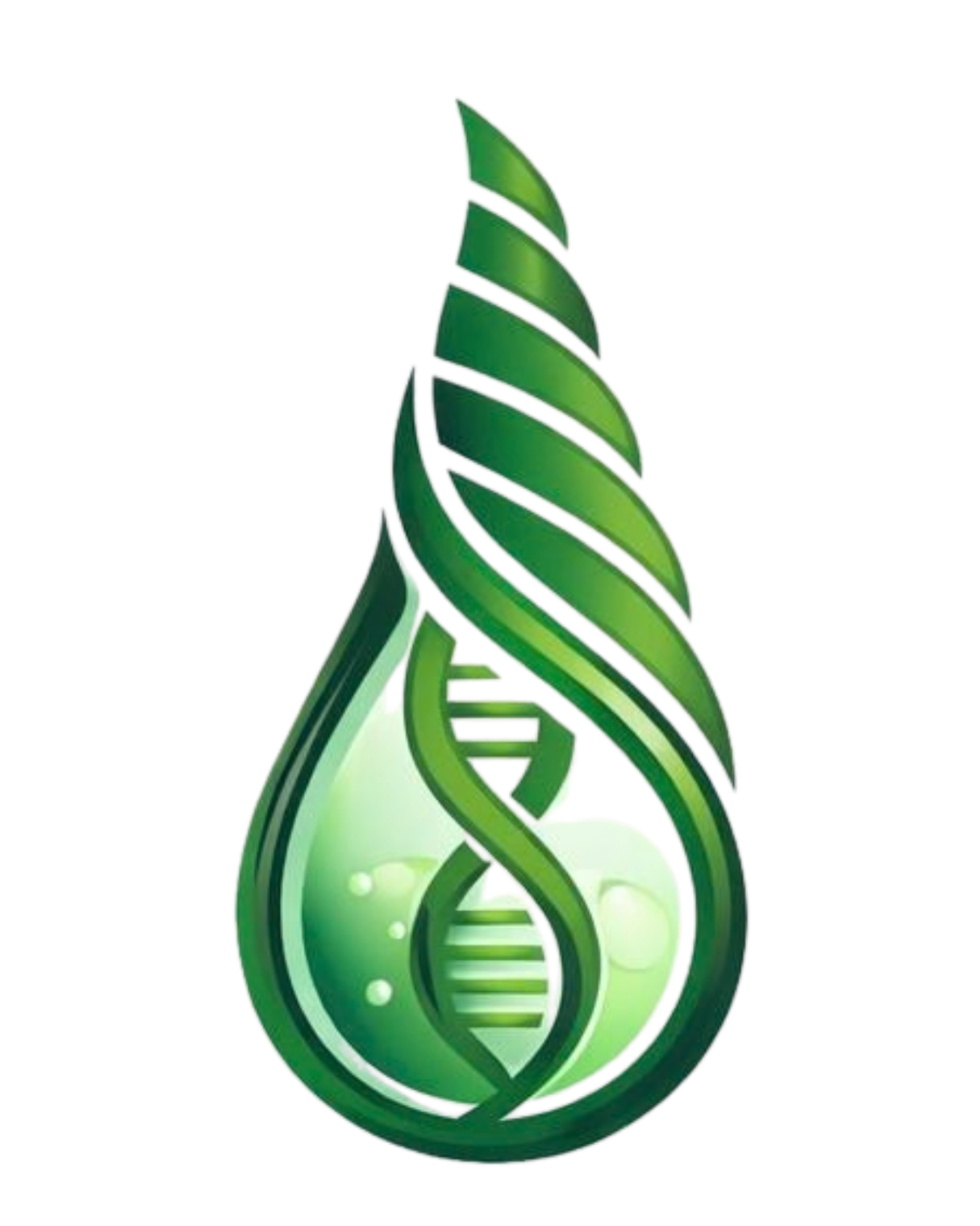 logo/sarv-logo.png